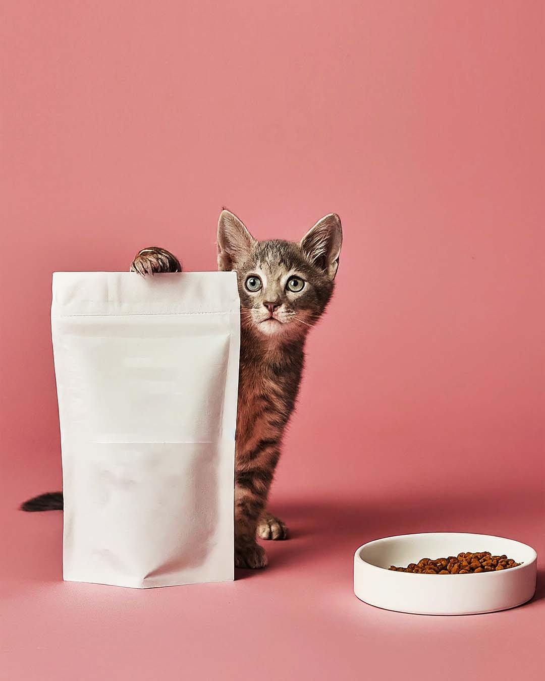 Cat with Pouch Mockup Bundle - Image 5