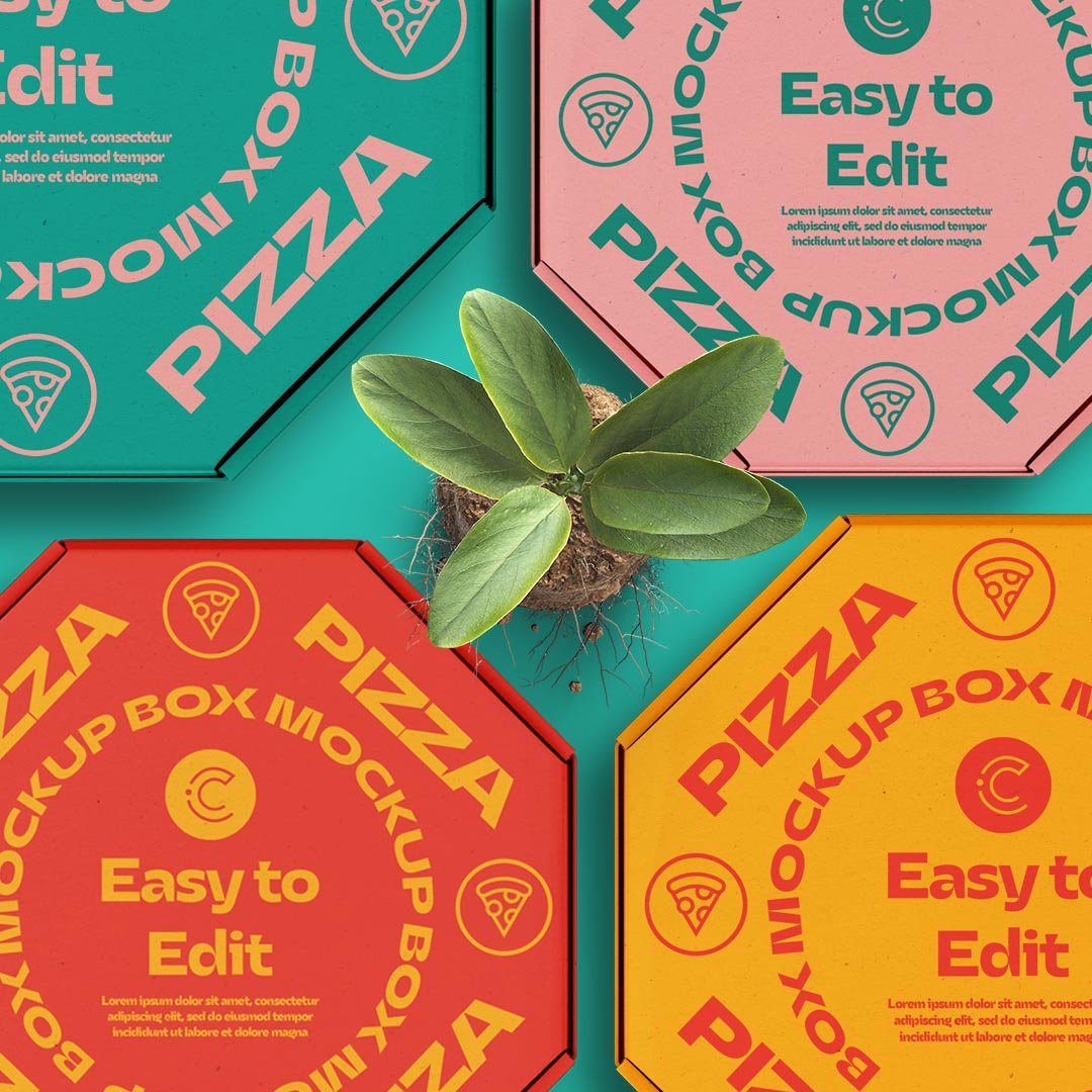 Pizza Box Mockup Free Sample - Image 5