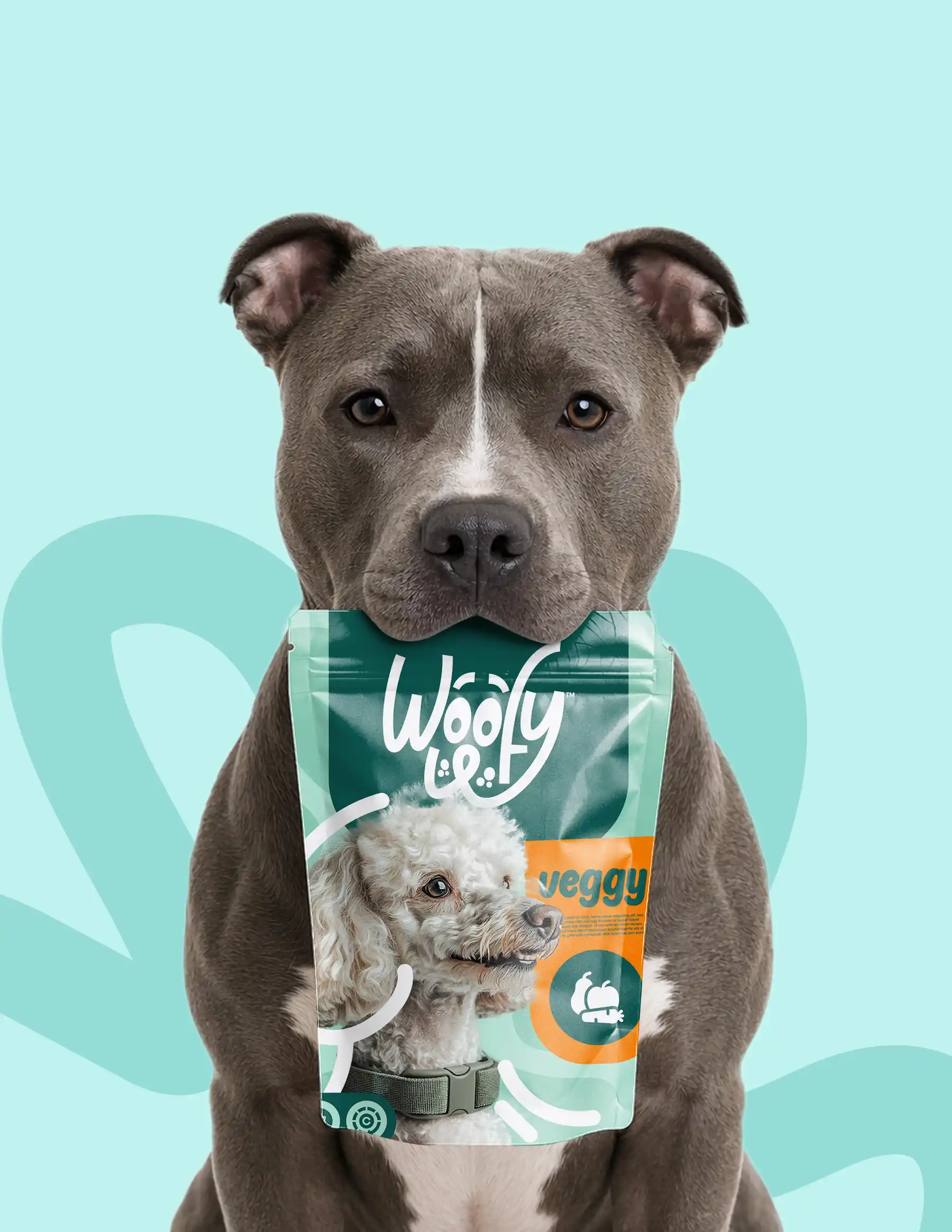 Dog Pouch Mockup Bundle - Image 4